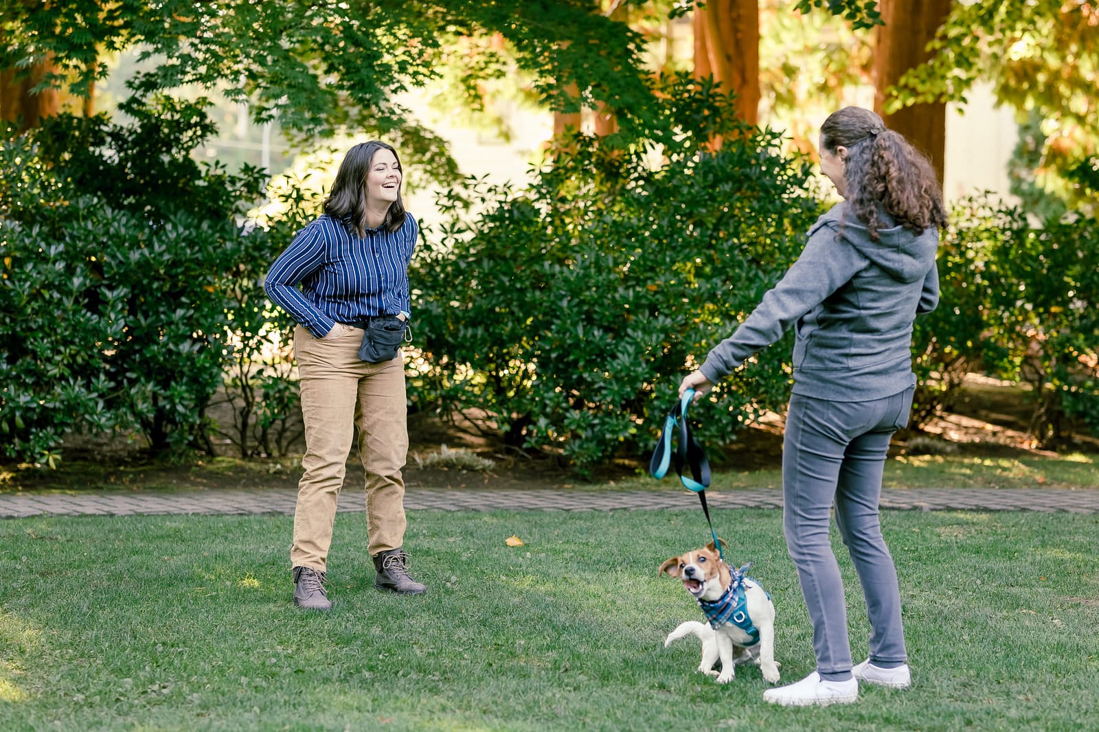 All_Paws-Oct2021-23-(1)-resize Dog trainer showing a client how to train their dog