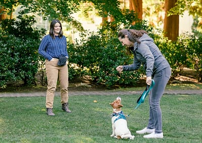 Dog trainer showing a client how to train their dog
