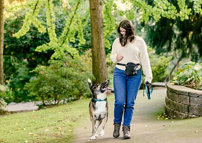 dog training